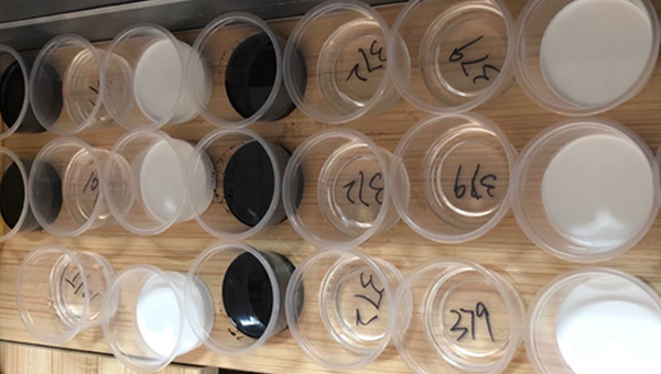 密封胶的固化要多长时间？汇巨工程师将为您详细解答